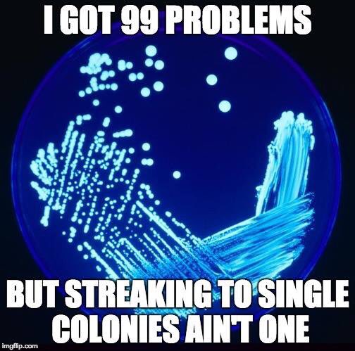 markowenmartin's tweet photo. Thinking about #MicrobialMemes for microbiology classes. Would love to have my #Micronauts develop some. @univpugetsound @ASMicrobiology https://t.co/1V6Q58gcdc