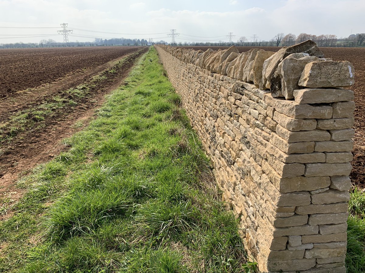 A part of the environmental  restoration works we have completed on our farm in Gloucestershire, Cotswold way. #environment #restoration #farm #british 🚜💨🇬🇧