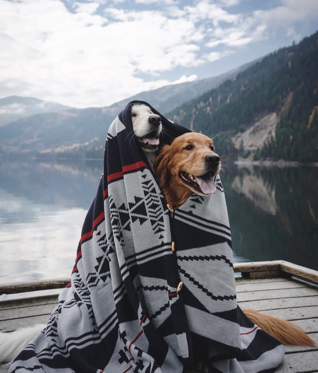 coffee_n_mtns's tweet photo. Relationship Goals https://t.co/fSNgeZwYCZ