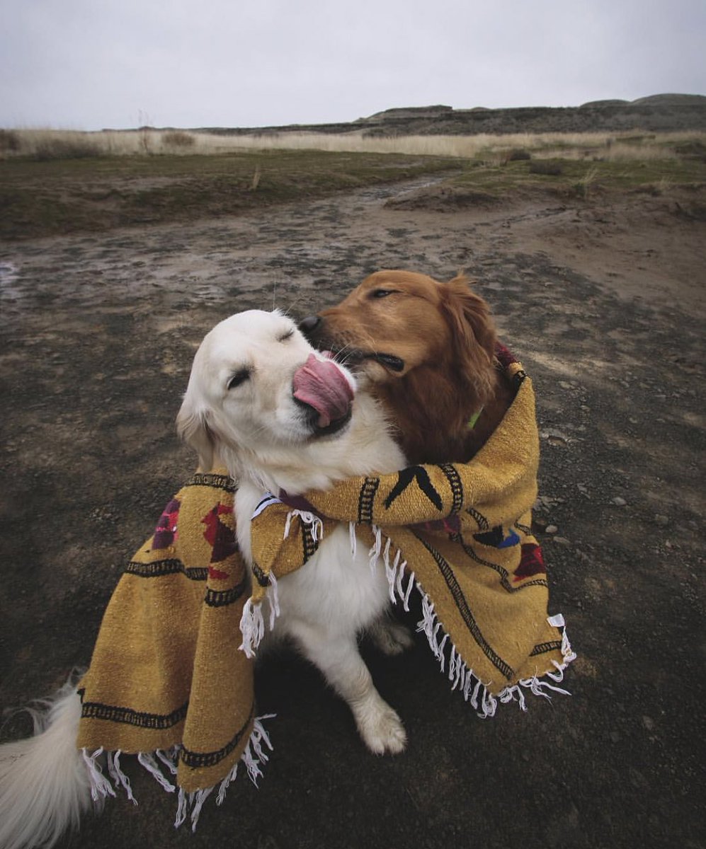 coffee_n_mtns's tweet photo. Relationship Goals https://t.co/fSNgeZwYCZ