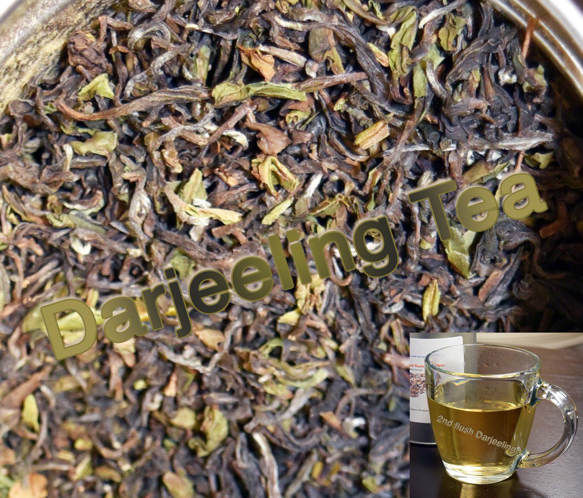 T7TEA's tweet photo. #darjeelingTea check it out::: https://t.co/JZIroIRxOo
#loosetea 
#2ndflush https://t.co/TfO91i6lKC