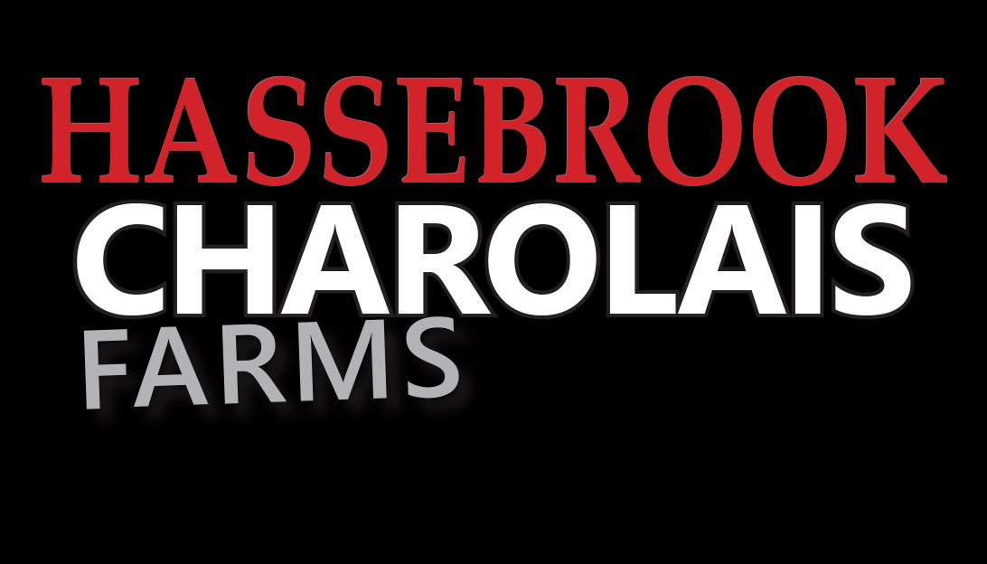 CharAuctions's tweet photo. The Hassebrook Charolais Farms Annual Production Sale on April 7th will be Broadcast Live on https://t.co/mZWqVhbbbj. Watch the Sale Live and Bid Online. More Information Coming Soon. https://t.co/QOo7BsKkgE