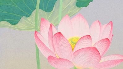 “Be like a lotus. Let the beauty of your heart speak. Be grateful to the mud, water, air and the light.” Amit Ray #wisdom #inspiration