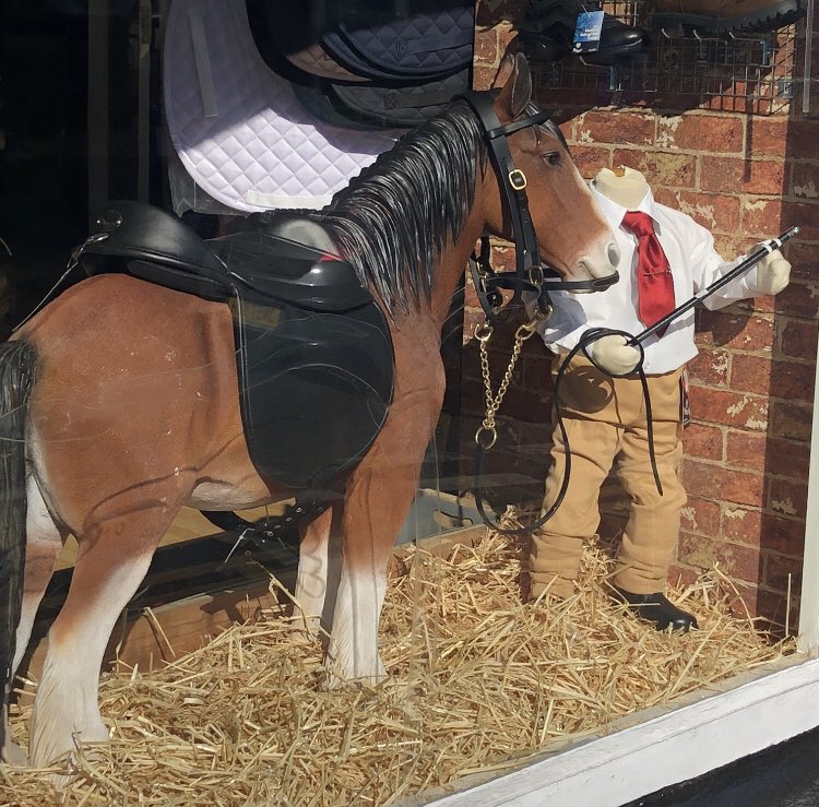 equicobs's tweet image. Danny and Dokota ready for the new showing season