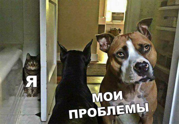 D21fcHYW0AAsBj_.jpg:large