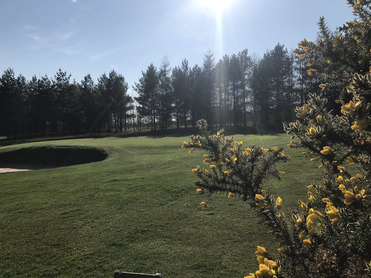 GolfPick's tweet photo. Guess the hole @GolfPick and win a 4-ball voucher to be used in April 2019! All correct entries will be entered into the draw to take place on Sunday 31st March! #PrizeDraw #Free4Ball #GolfPrize https://t.co/bQy45QO4A6