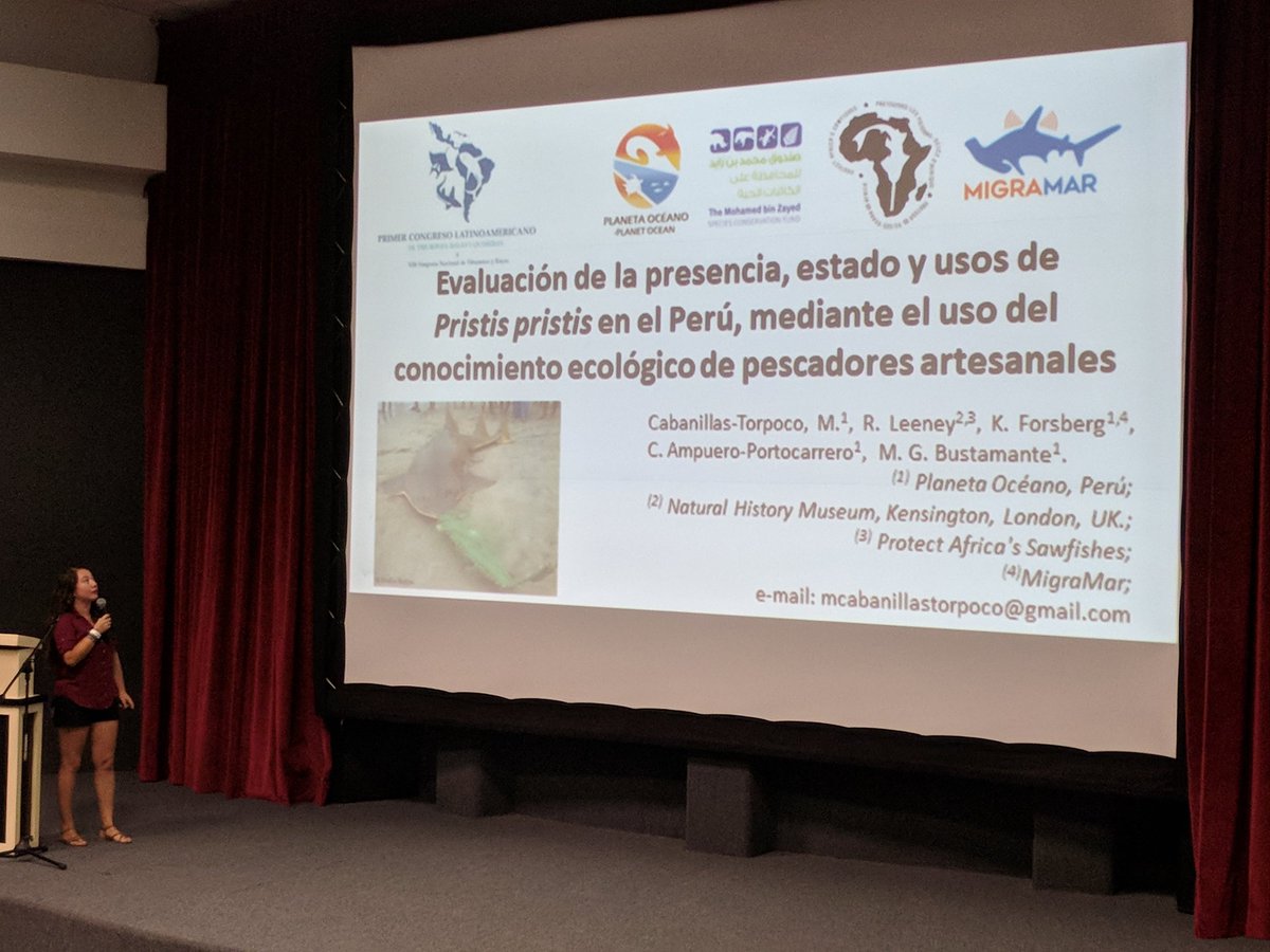 selacophile_dad's tweet photo. M. Cabanillas-Torpoco kicks off today's #SOMEPEC Perú talks discussing efforts to use ecological knowledge of fishermen to study sawfish in northern Perú https://t.co/Ldc6JE1nHW