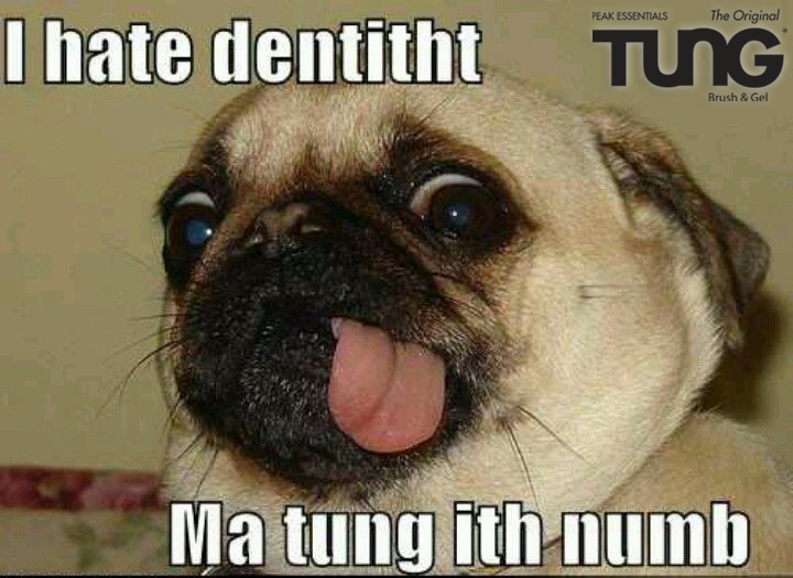 TUNGbrush's tweet photo. Gotta hate twips to the Dentist... #FunnyFriday #TUNGBrush #BadBreath #Kisses #FreshBreath #BeYourAdventure #Diabetes #10second #10SecondDifference #FridayFunny #Humor https://t.co/27X6dLlnFd