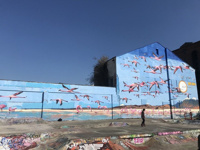 If you want to find out more about the community project behind the new 'Our Planet' mural, then <a href="/baltictriangle/">Baltic Triangle</a> have put together a really informative read on the story behind the work and the local artists involved.