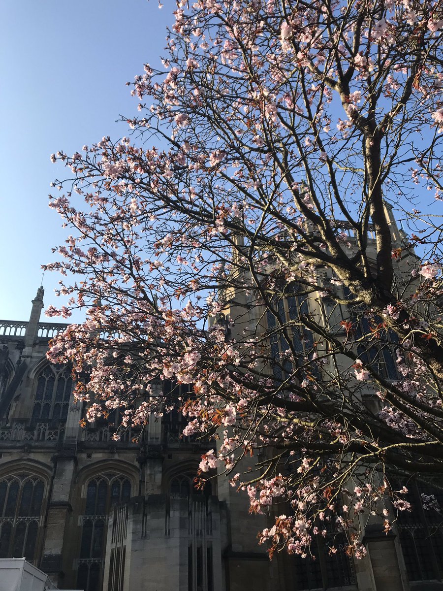 tingguowrites's tweet photo. Wonderful #faithandAI meeting at @StGeorgesHouse thx 2 @TheFaradayInst. Learned a lot from religious leaders, AI specialists, n fellow RS scholars. Look forward to working on a special issue on artificial emotions & love for machines! https://t.co/1pcYNhckTX