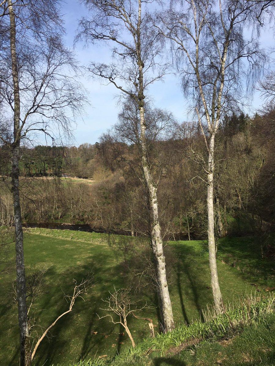 AllantonInn's tweet photo. Lovely to escape back in time and enjoy a walk round the old Blackadder Estate and in Allanton. Often think what a village we would be now if the house still stood #seesouthscotland #scottishborders #scottishhistory #countrywalks  @Walk_Borders https://t.co/8JC3m5Nm3j