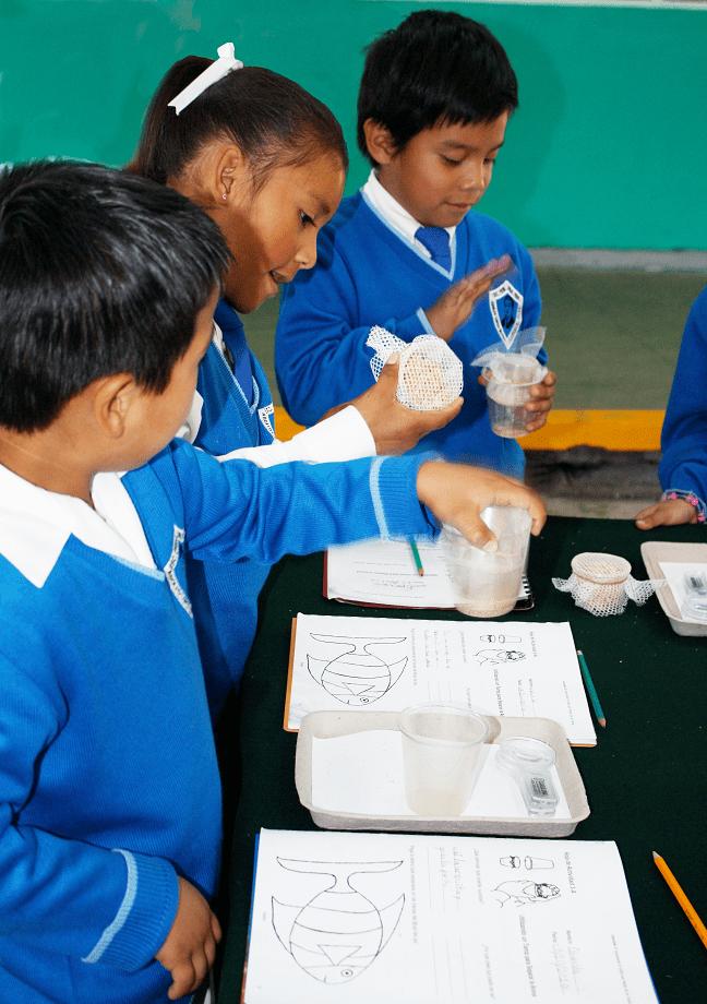 GlobalSI's tweet photo. Check out how @SmithsonianScie developed a highly-interactive and collaborative science curriculum for use in Mexico's schools. Dynamic lessons encourage hands-on learning, critical thinking, and appreciation of science. #GlobalImpact #SIGlobal https://t.co/krJVeDGS78