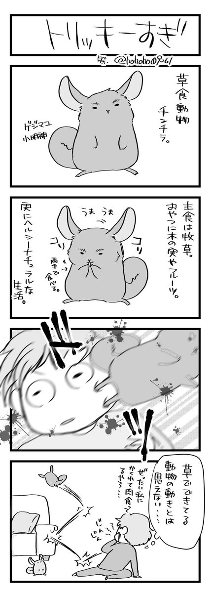 いちいちトリッキーすぎて草で出来てるとは思えない

#明神とオババ
#チンチラ
#4コマ漫画 