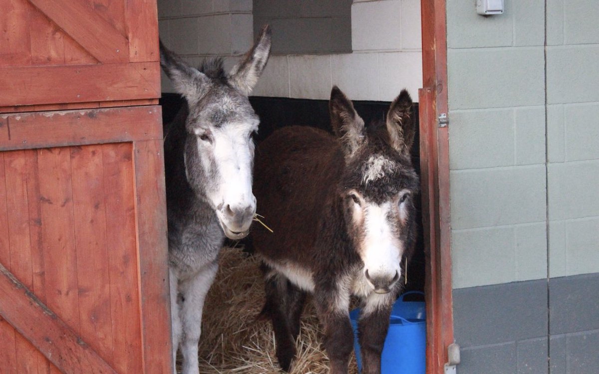 Don’t forget Mum’s go free this Sunday for Mother’s Day! 

Here’s our favourite mum and daughter duo! ❤️