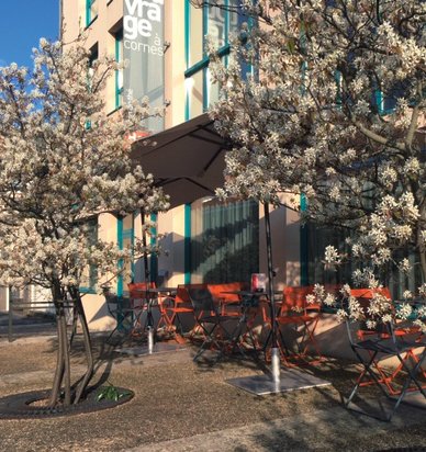 [La terrasse du Best Western Plus Masq Hotel 😎🌼💥]

Le printemps s'est installé, les amélanchiers sont en fleurs et la terrasse du MASQ vous attends pour une pause détente.

#bestwestern #soleil #terrasse #larochelle