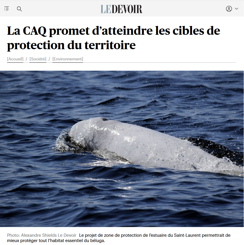 snapqc's tweet photo. Malgré les retards accumulés en matière de protection des milieux naturels au #Québec, le gouvernement actuel s’engage à atteindre les objectifs fixés pour les écosystèmes marins et terrestres à l’horizon 2020 #airesprotégées #conservation #polqc #gouvqc #environnement https://t.co/7EC39bKbot
