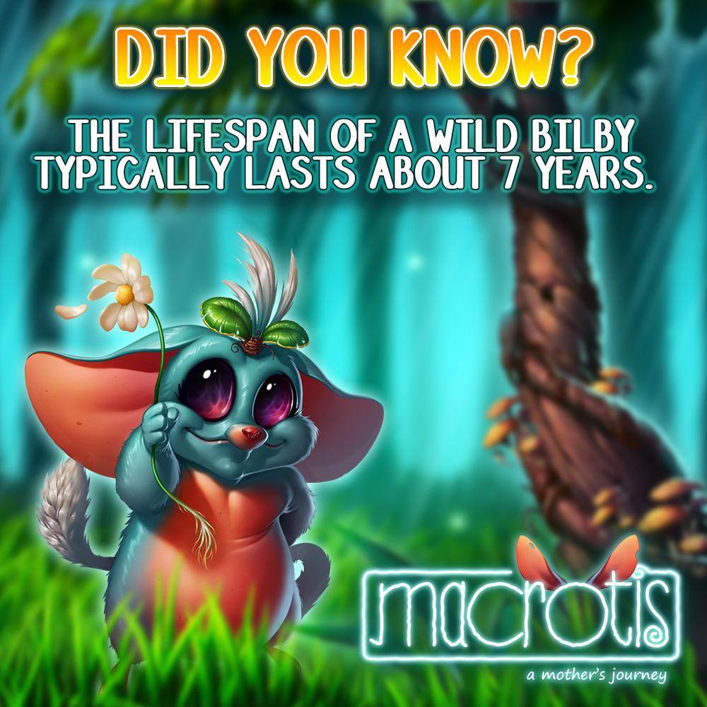 Did you know?
The typical lifespan of bilbies in the wild is about 7 years.

#Macrotis #indiegame #indiedev #gamedev #gamedevelopment #MadewithUnity #SavetheBilby