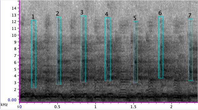 BalesLab's tweet photo. Nothing like working on #titimonkey #bioacoustics first thing in the morning. These tiny monkeys have crazy complex #vocalizations! So glad I've got #RavenPro! @listenforwhales -AL https://t.co/ZyBQEJ7FpU