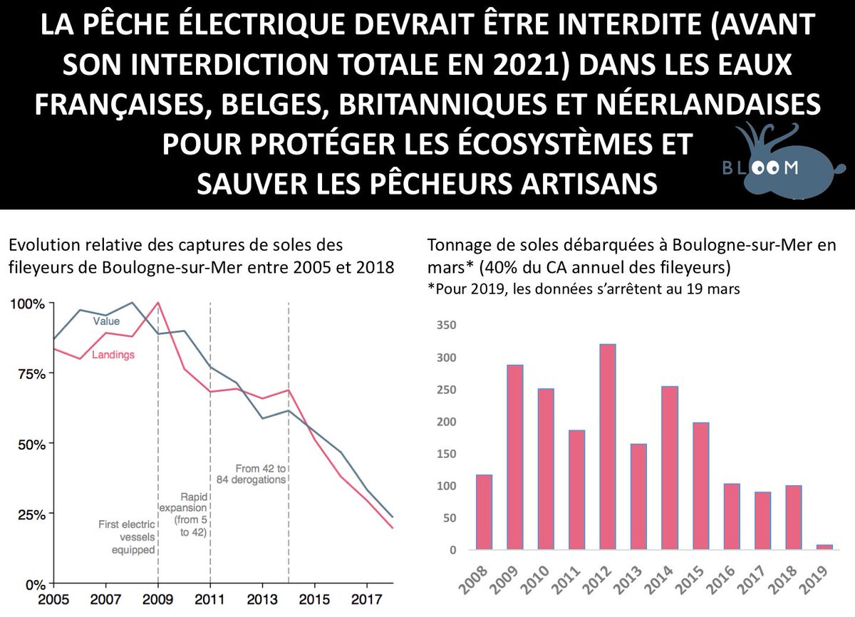 Bloom_FR's tweet photo. BLOOM salue l'initiative des 125 députés qui souhaitent interdire la #PêcheElectrique dans les eaux territoriales françaises. Les @fileyeurs voient leurs captures de soles chuter de manière alarmante. https://t.co/rXQcbvp4qo https://t.co/OK10bTdp3W