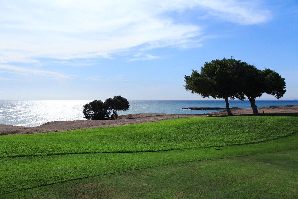 Kempinski_soma's tweet photo. Golfing in Soma Bay - where green meets blue. 🌊🌳#redsea #golfing #somabay #happiness #paradise #activity #luxury #resort #cascades #travel #escapingwinter https://t.co/pVo5KaS11W