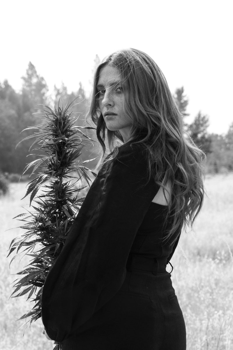 Svn Space tweet media