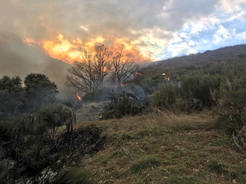 briftabuyo's tweet photo. 17:05 📸📸 trabajando ya sobre el terreno #IFSilván #LaCabrera en #LeóESP ATAQUE DIRECTO con mochila extintora y batefuegos y ayudados por descargas de los medios aéreos 🚁💦 @Bambi_Bucket para intentar cerrarlo #BRIF -i #BBFF #IIFF trabajando en él #IF medios de #PlanINFOCAL https://t.co/QdOMtRexIU