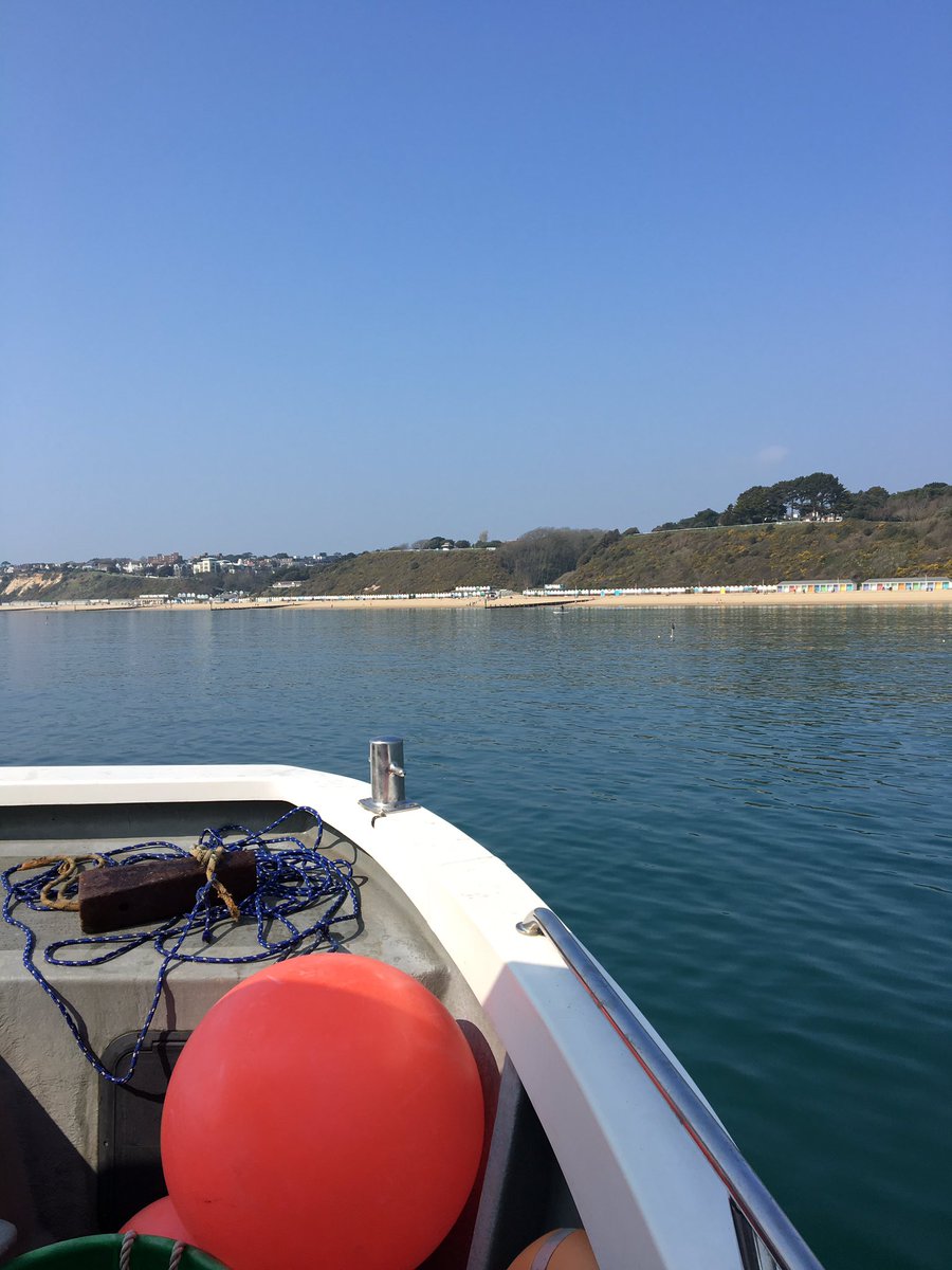 Dr Alice Hall tweet media