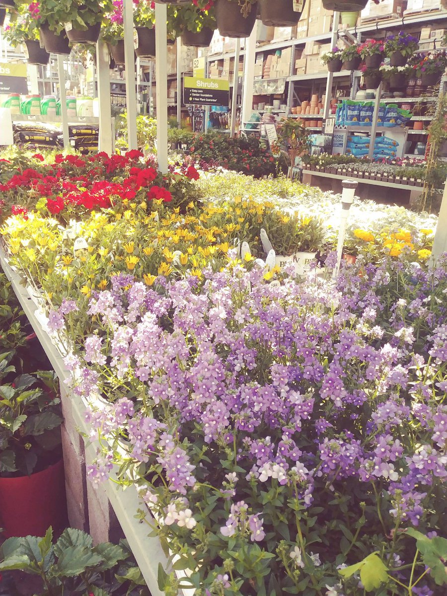 RandyBoston10's tweet photo. #FridayThoughts , If Emmerson believed, “The earth laughs in flowers.” Than @HomeDepot is ROTFLOL! Come visit #team441 in Avondale and see the best #garden department around!
.
.
#D287BiggerStrongerFaster #tothemax #FridayMotivation #FridayFeeling #441pride #THD #HomeDepot https://t.co/xkYtye9jJG