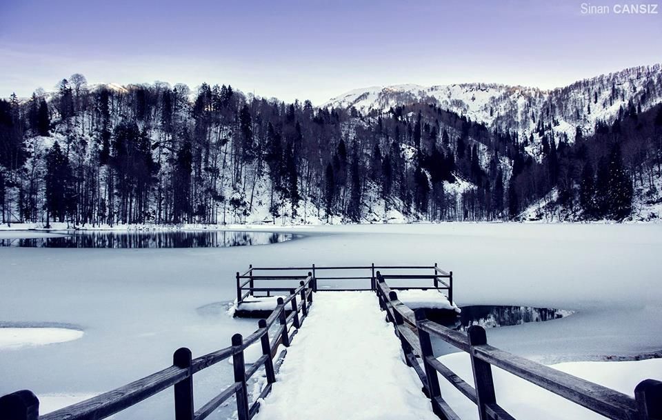 HayvanlarHarika's tweet photo. Mevsim değişiyor ❄️☀️ https://t.co/OcBVcinQKt