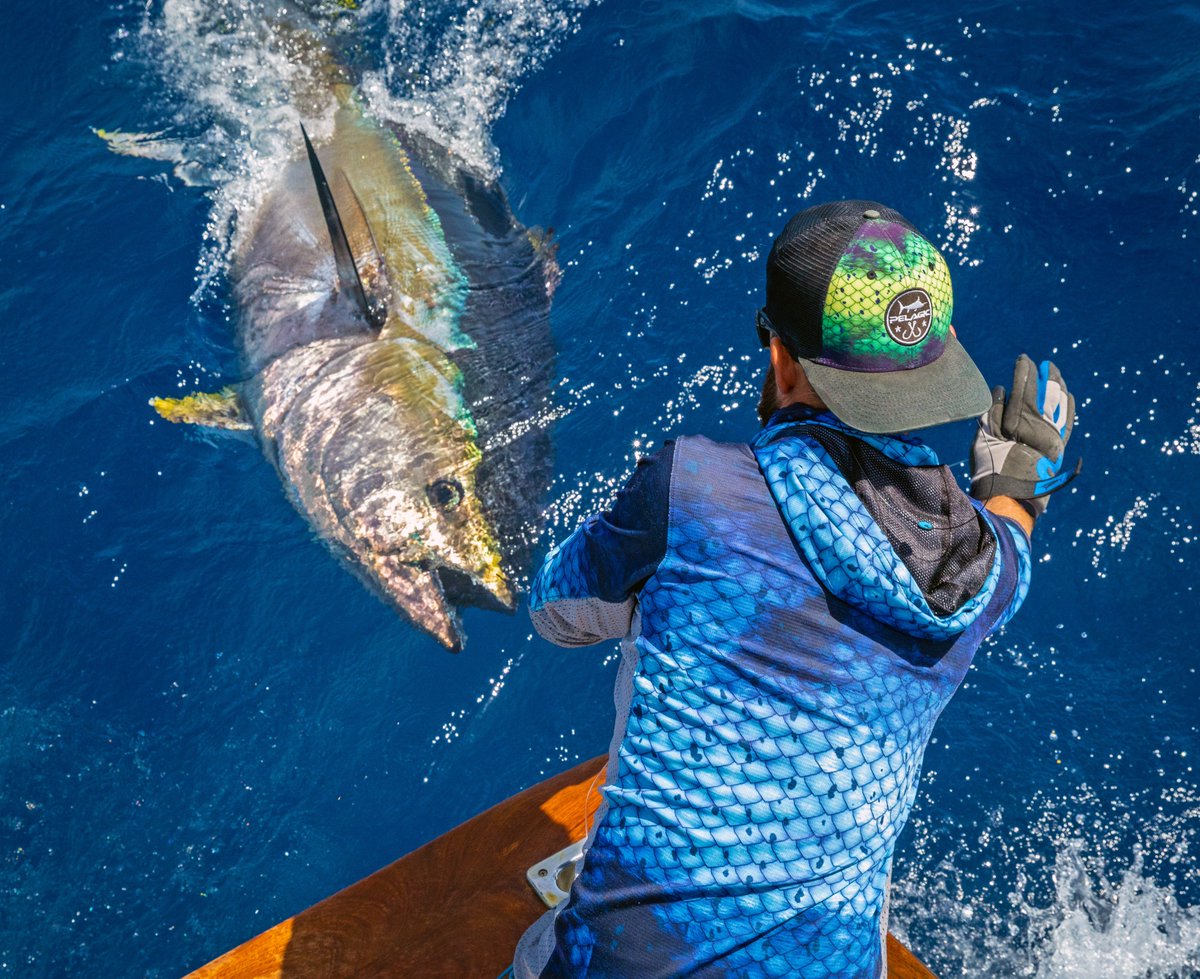 The bluefin bite is heating up off La Gomera - Team PELAGIC’s (@johan_mikkelsen_official) wires up a fatty! Guesses on how big?? #FridayMotivation #PelagicWorldwide