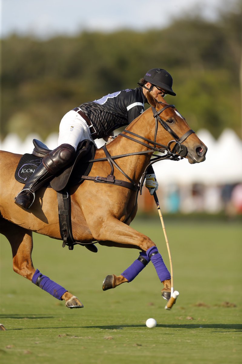 👋 <a href="/SebiMerlos/">Sebastian Merlos</a> is BACK and Iconica dominated the competition @intlpoloclub taking down Equuleus 8-5! <a href="/GAUNTLETOFPOLO/">GAUNTLET OF POLO®️</a> #USOpenPolo #UltimateTest

📸: ©️<a href="/lominska/">lominska</a>