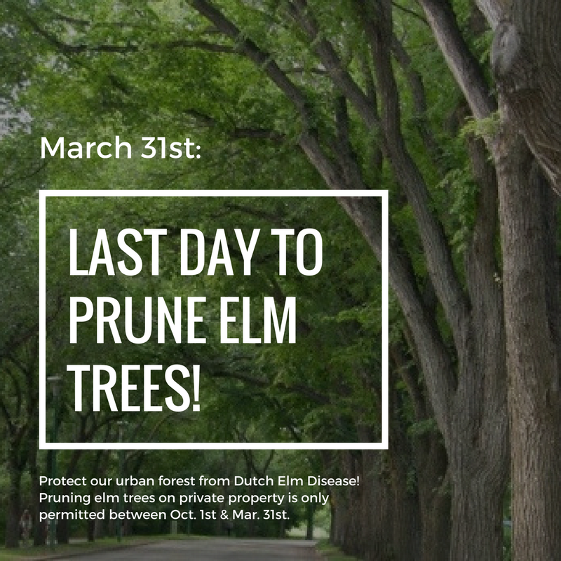 YEG Parks tweet media