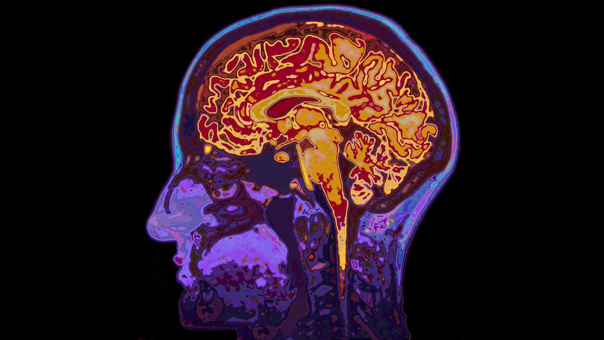 InTheBoxTweets's tweet image. Cognitive biases: How to get people to prefer your business.

#cognativebias #marketingpsychology #purchasing #remarketing #retargeting #socialproof

Via @Marketingland 
👇 mklnd.com/2HDunun