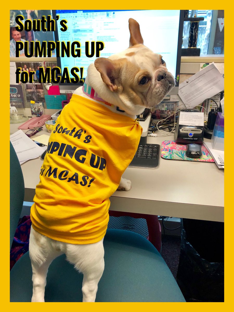 South School is getting ready for our "Pumping It Up for MCAS" Assembly today!