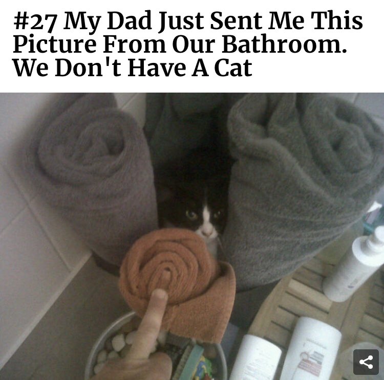 Aidan Gallagher on Twitter "I did NOT say put your pet outside. I said