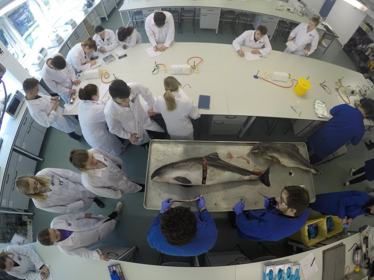 Travelling back from <a href="/UniofNewcastle/">Newcastle University</a> after carrying out examinations of two harbour porpoises for class of undergraduates alongside CSIP colleagues <a href="/JepsonicPaul/">Dr Paul D Jepson</a> <a href="/Perkins16Matt/">Matt Perkins</a> and <a href="/PerBerggren1/">Per Berggren</a>. Diagnosed grey seal predation in one and parasitic pneumonia in other. #CSIoftheSea
