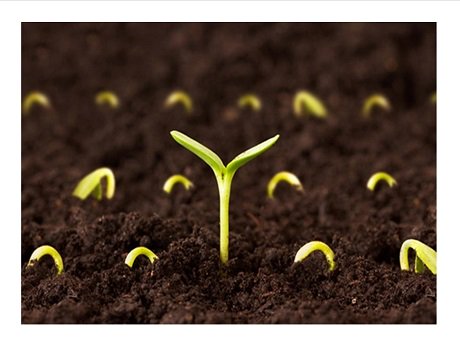 HSPLSHI_HIgov's tweet image. The #CommunitySeedLibrary is hosting a free workshop at the #KailuaKonaLibrary about improving your soil&apos;s fertility, presented by agricultural consultant Melanie Bondera on Saturday, April 6 at 10 AM. librarieshawaii.org/event/communit… #HSPLS #SoilFertility