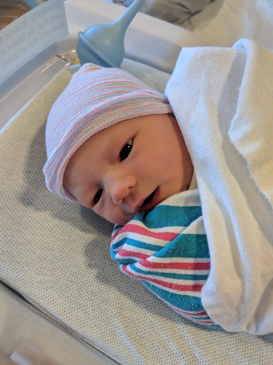 STYLE_bham's tweet photo. INTRODUCING OUR NEW HIRE!

Say hello to Murphy Jordyn Funk, Junior Manager of Growth &amp; Development at Style Advertising
Congratulations, @KirstenFunk_ and Adam on your gorgeous baby girl ❤️ We're wishing her all the joy in the world and cannot wait to meet her! https://t.co/BboCuAoMC5