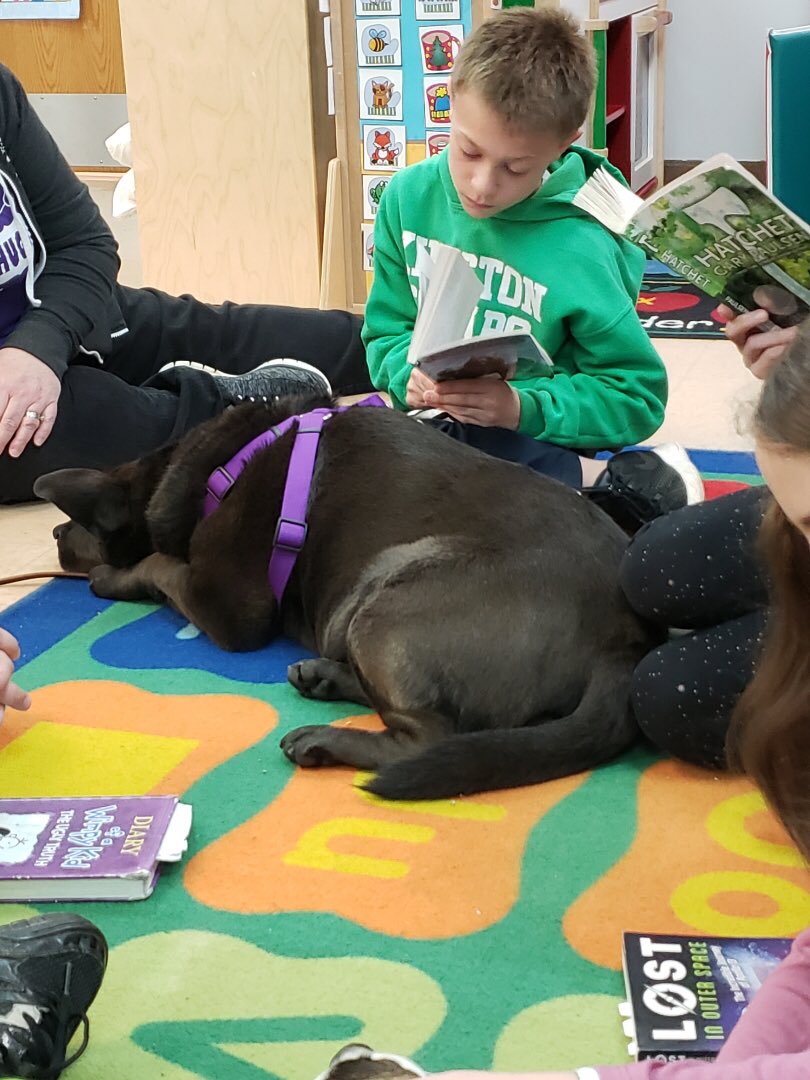 We always love reading to our dogs! #kingston14pride #supportothers #keeplearning