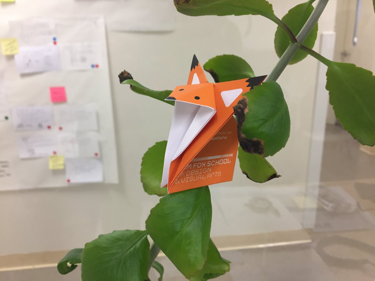 EnriqueVonRohr's tweet image. Sam Fox Fox is checking out on my office plant! 
#SamFoxSchool #SamFoxFox @SamFoxSchool