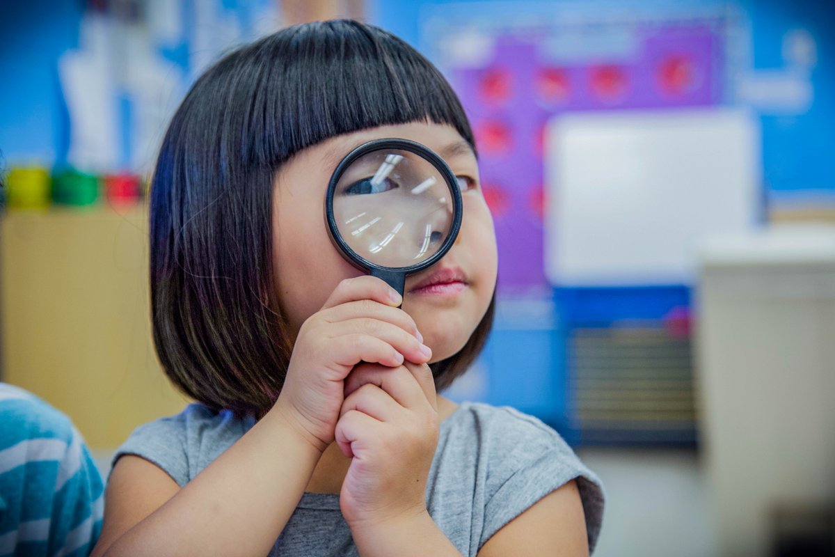 NYC Public Schools tweet media