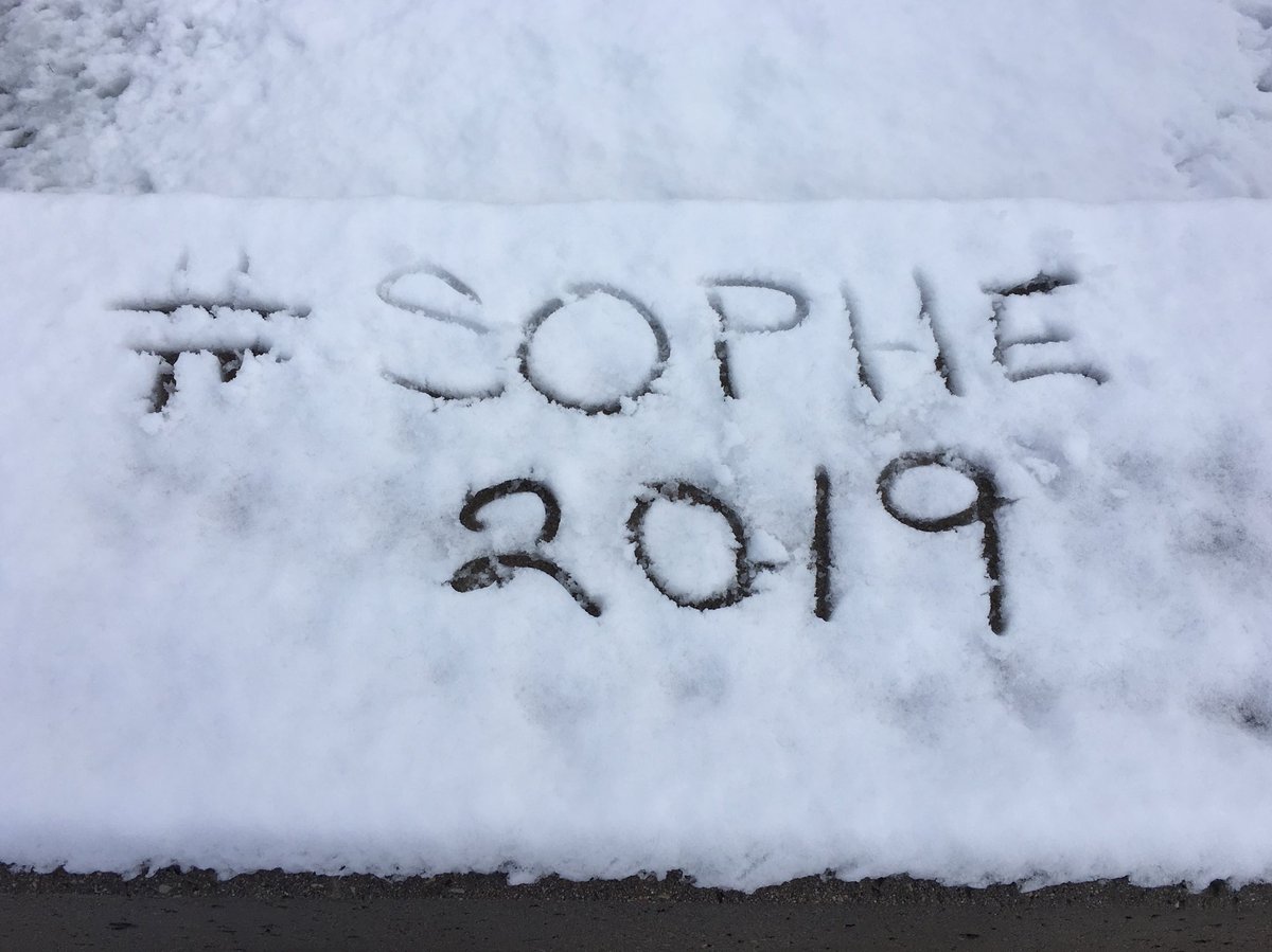 Mindy Menn tweet media