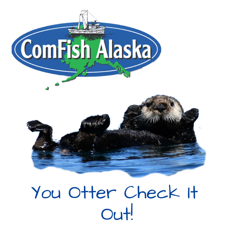 ComFishAK's tweet photo. #ComFish2019 IS NOW OPEN! Come meet with industry experts and see the new and upcoming technology at demonstrations at the Kodiak Harbor Convention Center. We have daily split-the-pot and door prize give aways for visiting vendors. Don't miss the fun #kodiak #alaska #comfish https://t.co/nyIaH24yoA