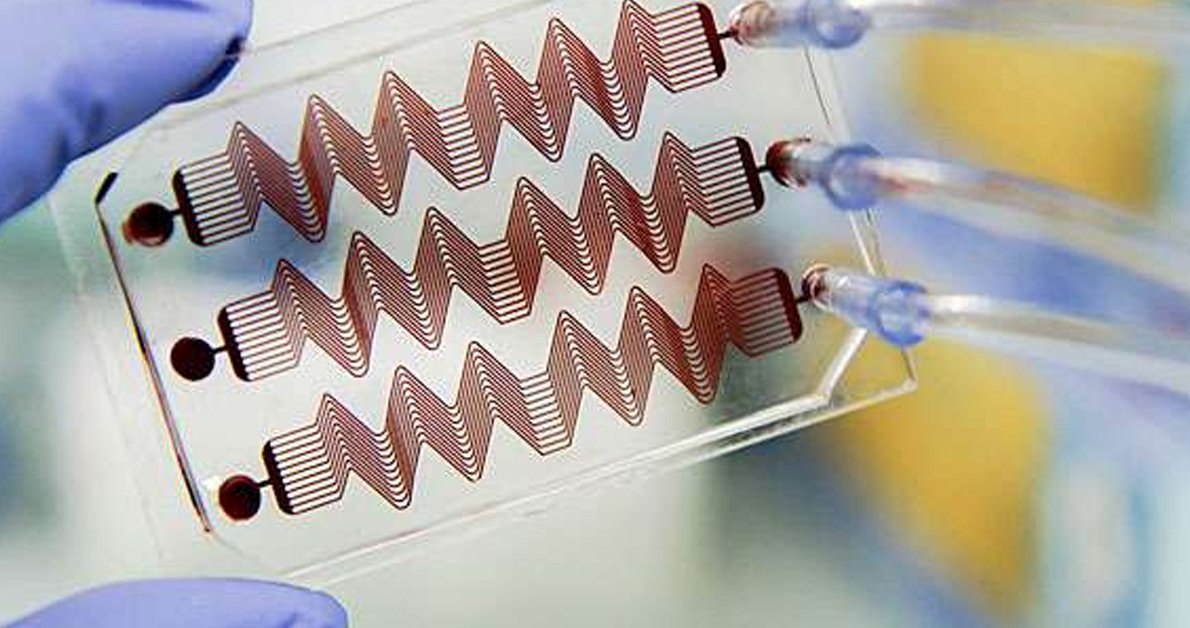 CRT_meeting's tweet photo. A #noveldevice successfully closed #transcaval access in the setting of #transcatheteraorticvalvereplacement (#TAVR) in all study #patients, according to late-breaking trial results presented at #CRT2019 #CRTMeeting

Read more:
https://t.co/CHlP157Wka https://t.co/os64UFkREX