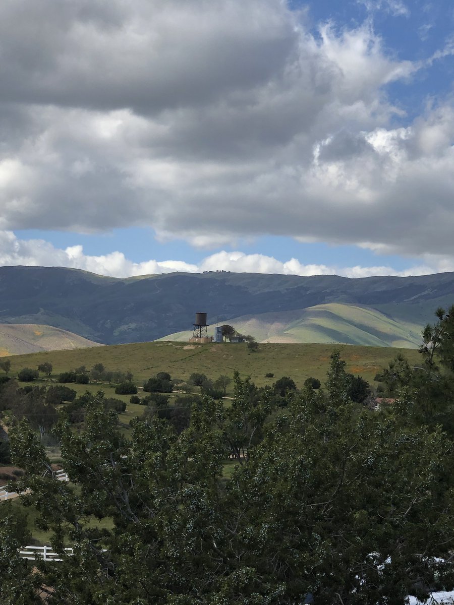 Amy Allan tweet media