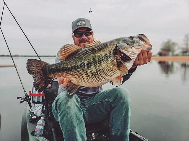 KayakFishMag's tweet image. When @tacticalbassin catches a new PB, you know it’s a giant 🐷 🐷 
#kayakfishmag
.
.
.
.
.
.
.
#kayaking #paddling #kayakfishing #fishingkayak #kayakbassfishing #bassfishing #kayakangler #paddle #thetugisthedrug #findyourwater #optoutside #yakfishing … ift.tt/2Ow4YDF
