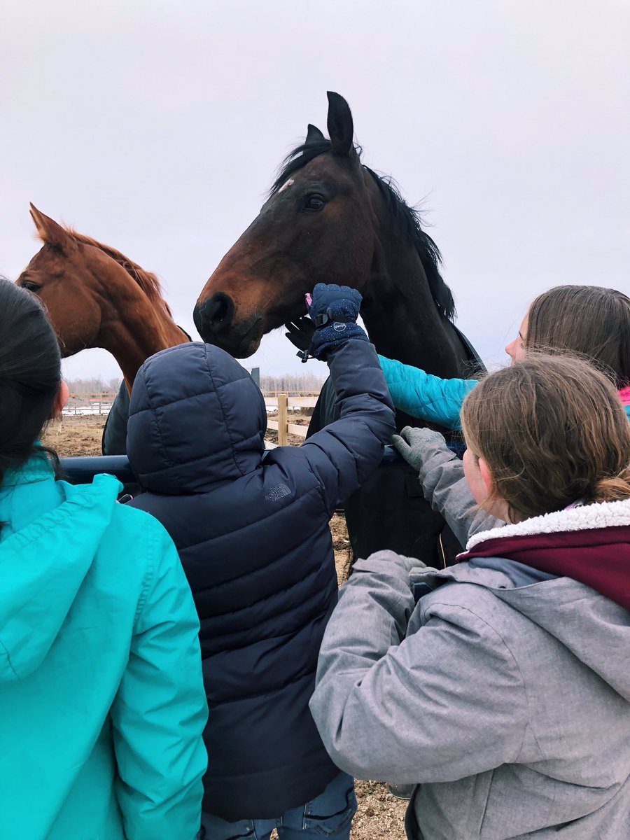 MGstablesWpg's tweet photo. Making new friends at Spring Camp! 💚

#horsesofinstagram #SpringCamp #Friends #Horses #Equestrian https://t.co/sO552uL92O