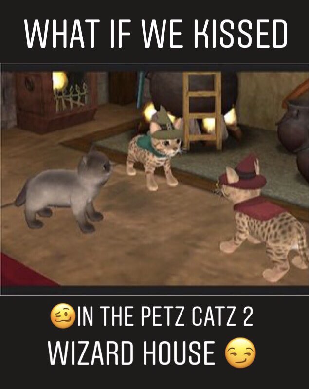 Catz Catz