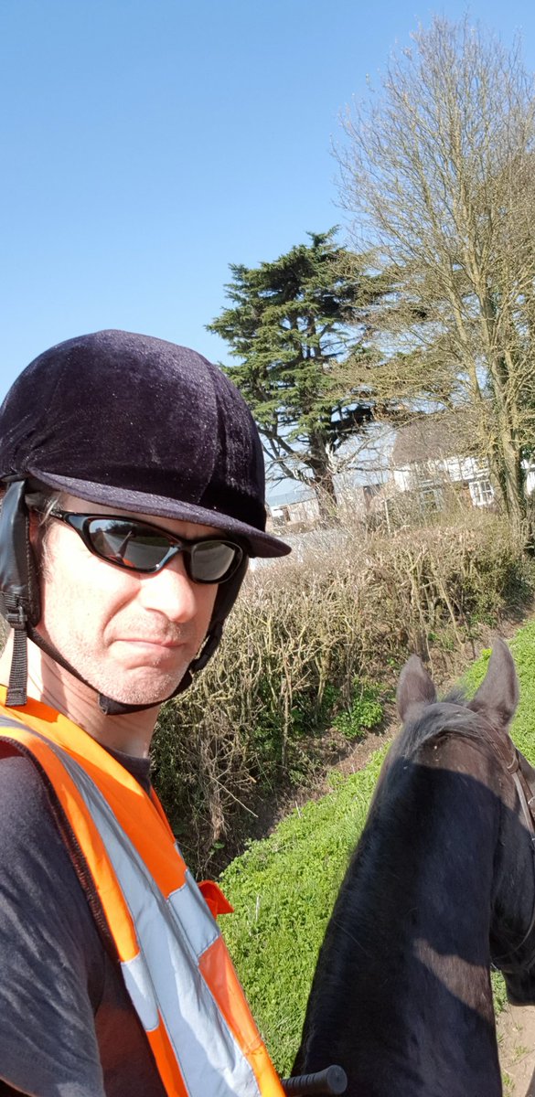Equestriman1's tweet photo. We couldn't let a day like today go by without a little potter up the road with the big man. #247equestrian #horse #horses #hackout #horsehour #ponyhour #maleriders https://t.co/qEuugfBKE3