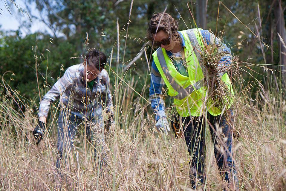 We are hiring! Currently accepting applications for the Stewardship Coordinator position. sutrostewards.org/jobs-internshi…